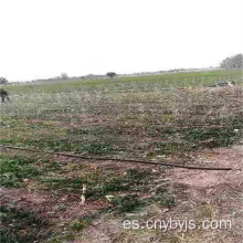 Manguera de microaspersión para tierras de cultivo Irrigación de invernadero de huertos